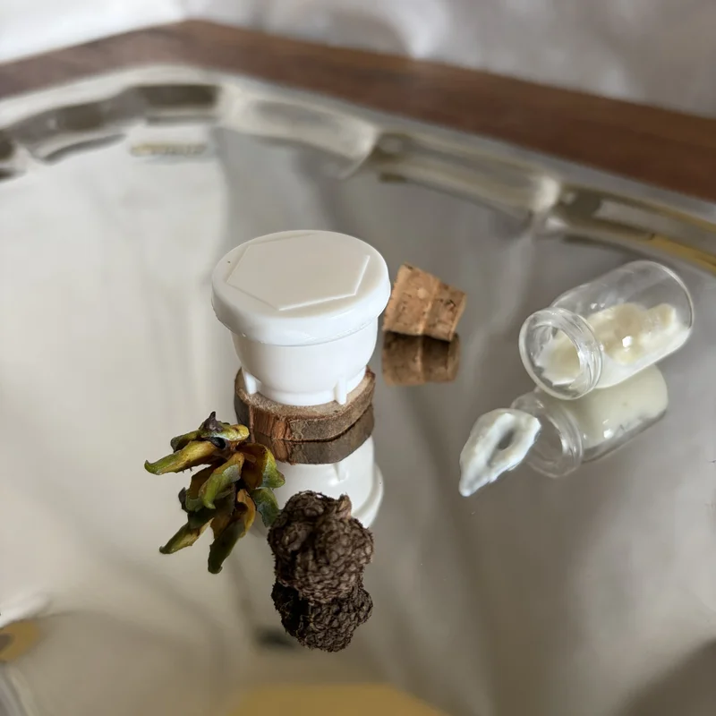 Jalea Real pura y fresca Alfa Apicultura Tandil: suplemento natural premium para refuerzo inmunológico. Calidad de exportación.