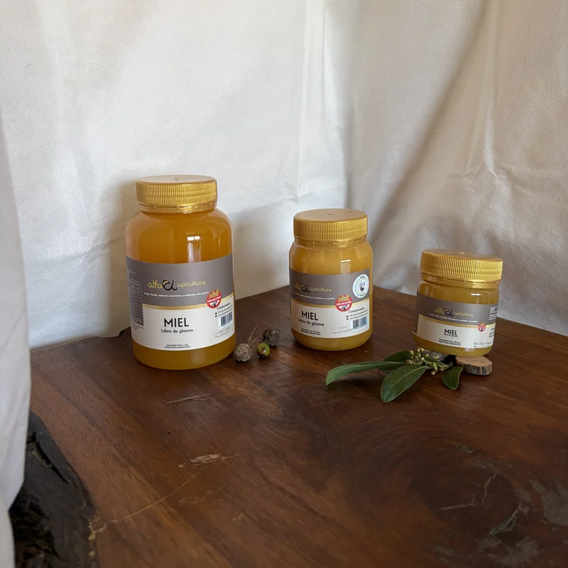 Miel de Tandil Alfa Apicultura - Presentación de 250g, 500g y 1kg - Libre de Gluten.